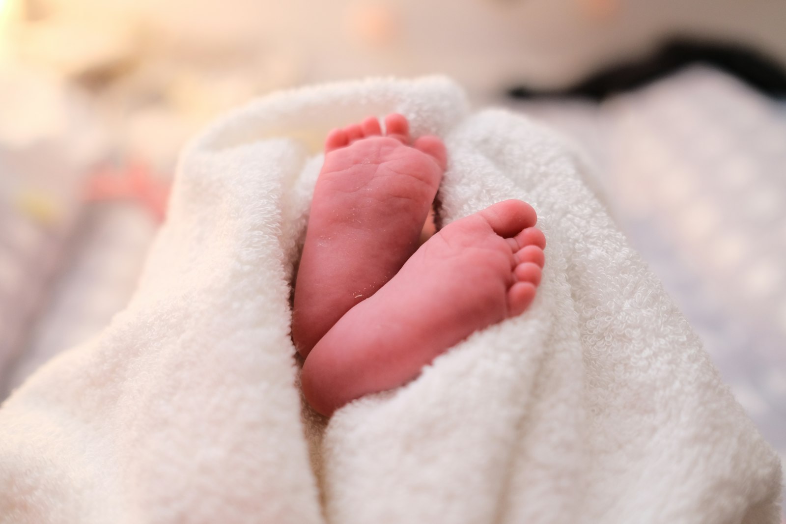 Baby Food Makers: A Buyer’s Guide