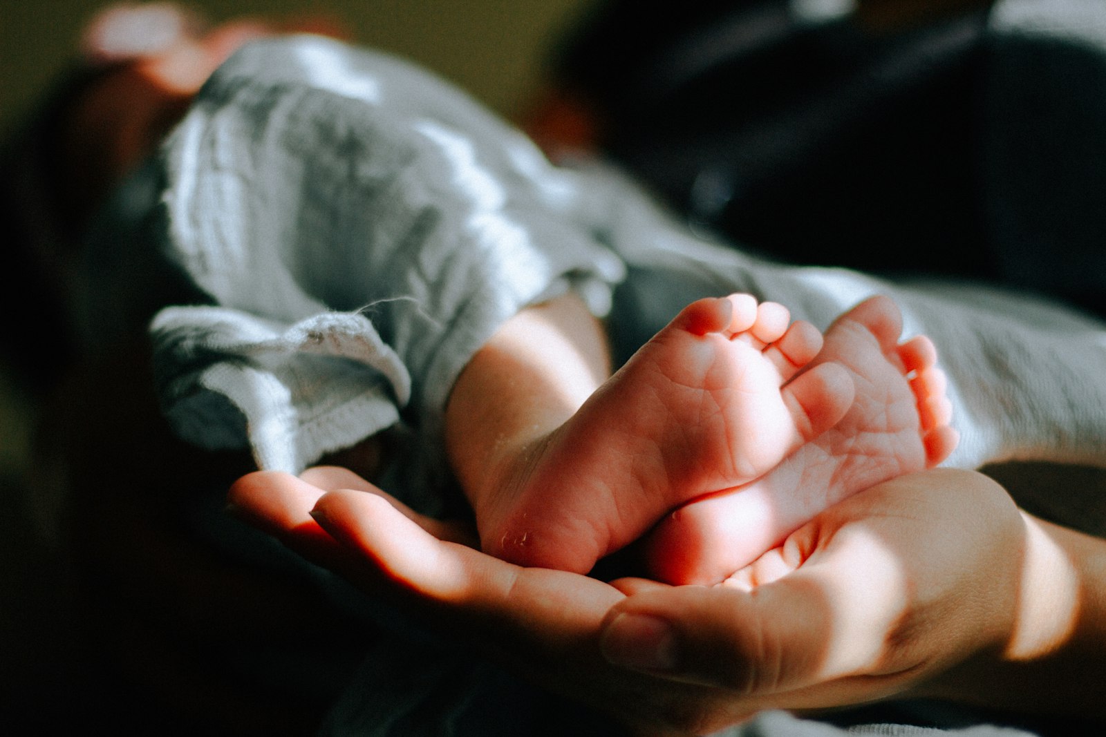 Best Baby Monitors, Ranked