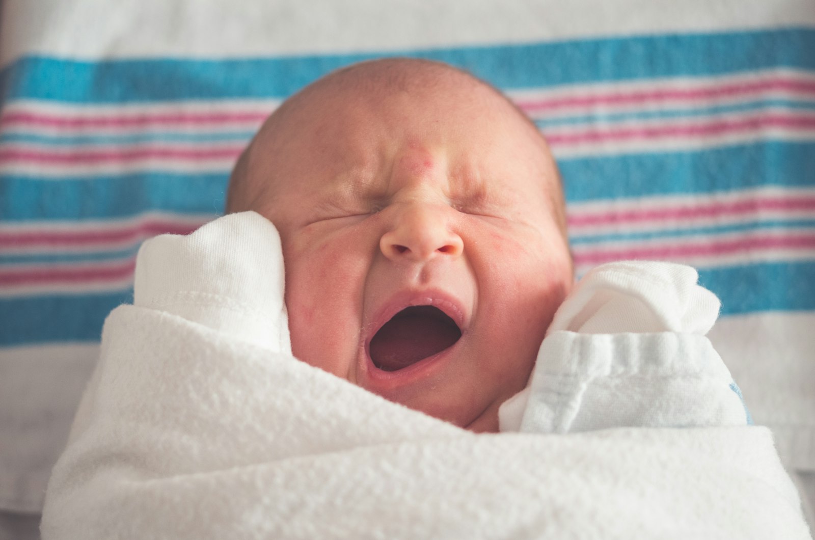 Potty Training Gear: A Buyer’s Guide
