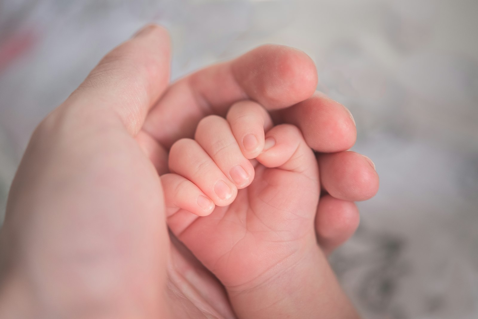 Video Baby Monitors: A Buyer’s Guide